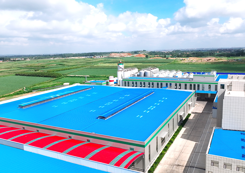 Aerial view of Shandong Oasis Beer Co., Ltd. workshop 